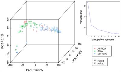 Genome-wide association study in two-row spring barley landraces identifies QTL associated with plantlets root system architecture traits in well-watered and osmotic stress conditions